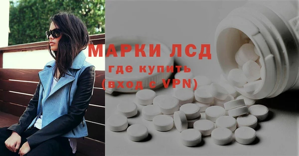 стаф Бородино