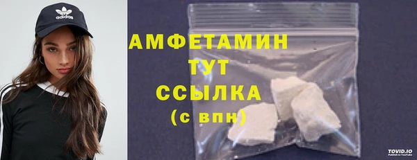 стаф Бородино