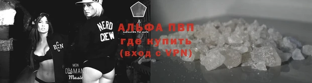 стаф Бородино