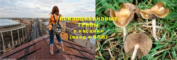 apvp Бронницы