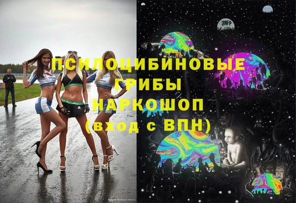 стаф Бородино