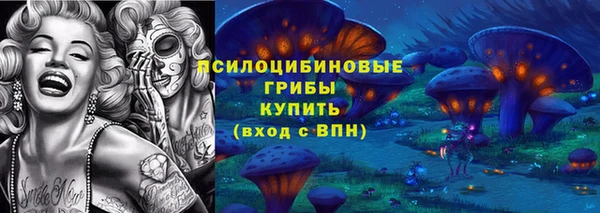 бошки Бугульма