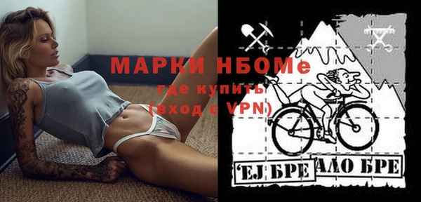 стаф Бородино