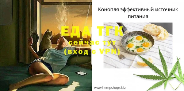 стаф Бородино