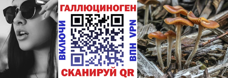 Псилоцибиновые грибы ЛСД  Сосногорск 
